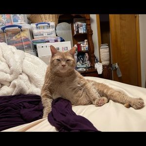 Meet your Posher, Dawn